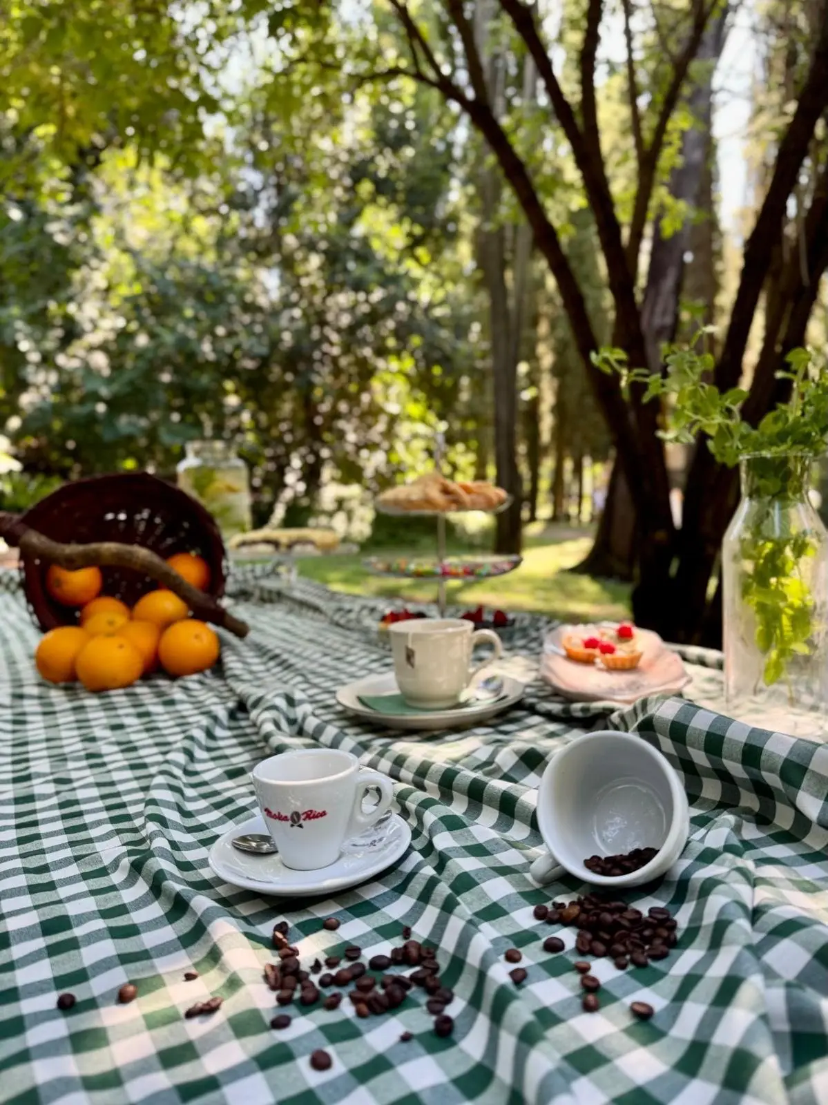 Un cappuccino su un tavolo del giardino incorniciato dalla lavanda
